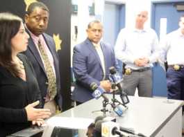 Stolen plane reportedly plunged into sea