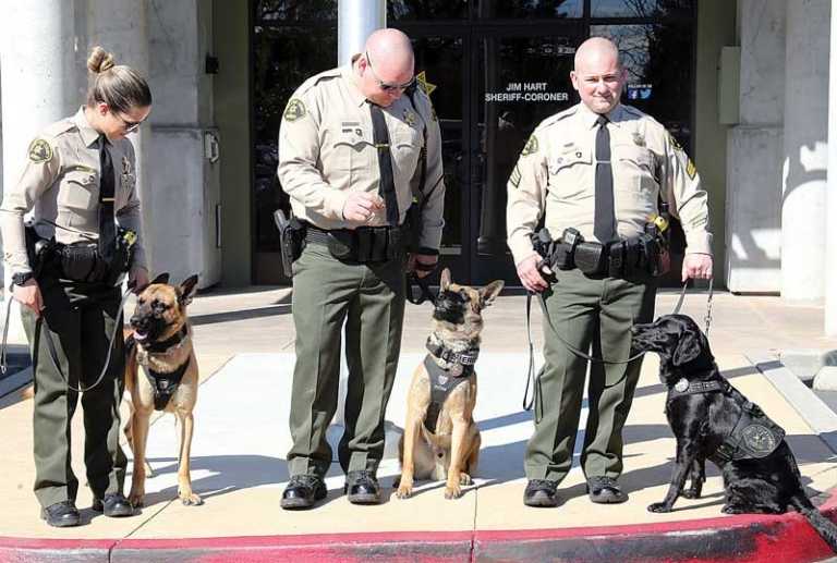 Three K-9s join Sheriff’s Office