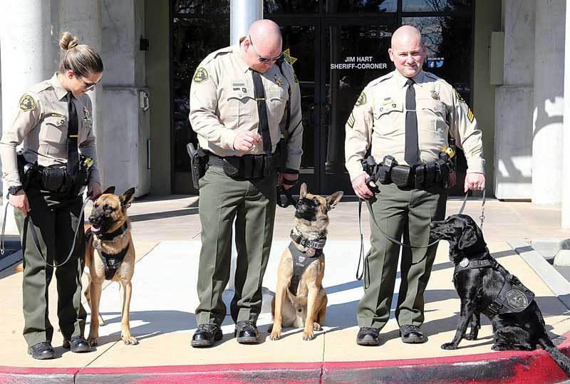 Sheriff's office honors Crescent City hero with K9 name, News