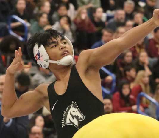 CCS Wrestling Championships, 2019: 'Brave' Cabuag scores redemption, section crown
