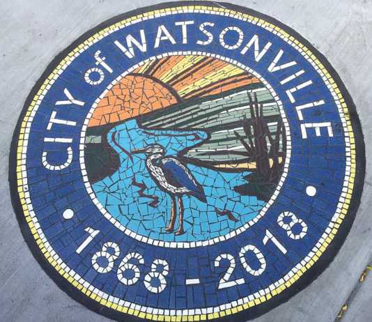 An historical year for Watsonville