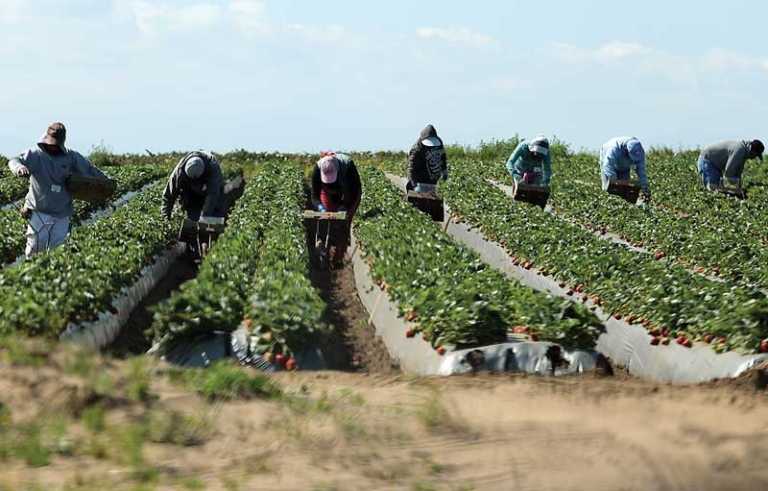 Bill would streamline farmworker housing