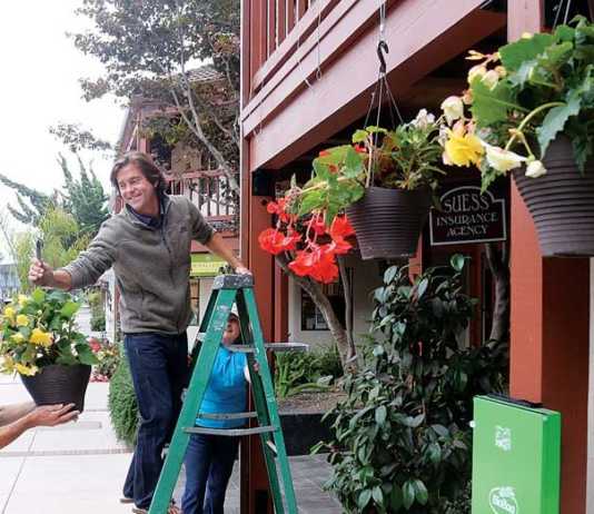 PHOTO: Remembering the Begonia Festival
