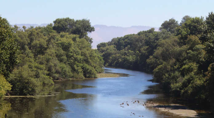 Pajaro River levee