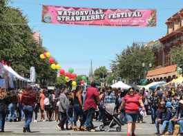 Watsonville strawberry festival