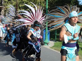 Local artists puzzled by fees