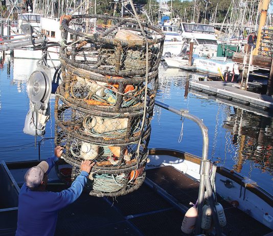 Commercial crab season pushed back