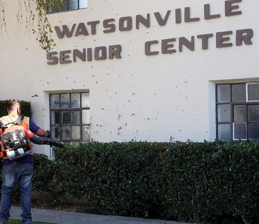 watsonville senior center