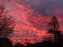 Sky brilliance | Photo Gallery