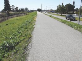 Pajaro river levee