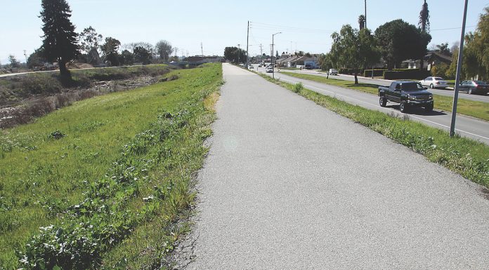 Pajaro river levee