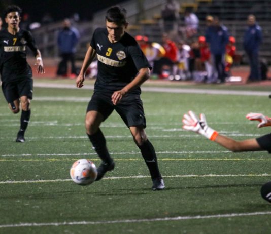 Boys soccer: Talented Wildcatz set sights on multiple titles