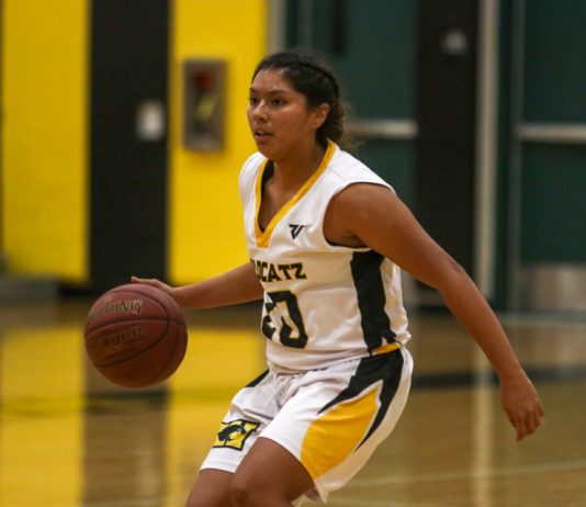 Girls basketball: Young Wildcatz continue rebuild under Cook