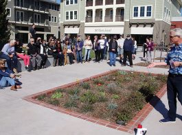 Bricks highlight Aptos community