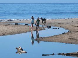 County beaches