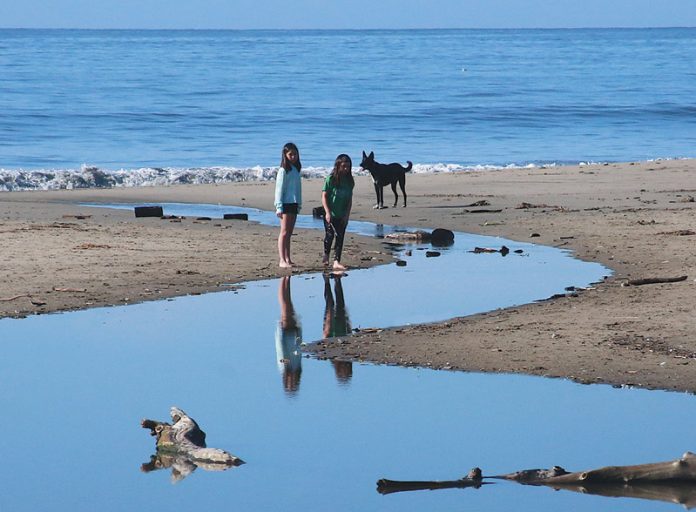 County beaches