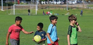 watsonville city council