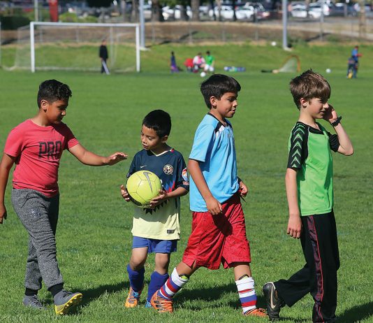 watsonville city council