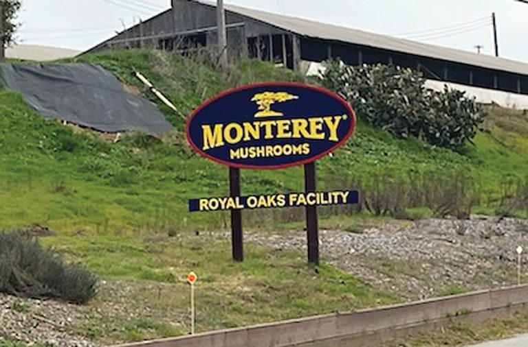 Man dies at Monterey Mushrooms' Royal Oaks facility The Pajaronian