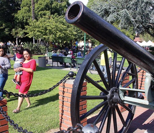 Final parks plan on City Council agenda