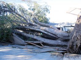 Strong winds rip through Central Coast