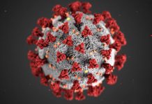 Watsonville coronavirus