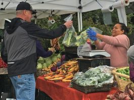 farmers market aptos