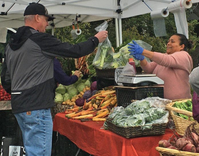 farmers market aptos