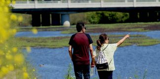 Watsonville slough trails