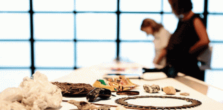 beyond the world's end santa cruz