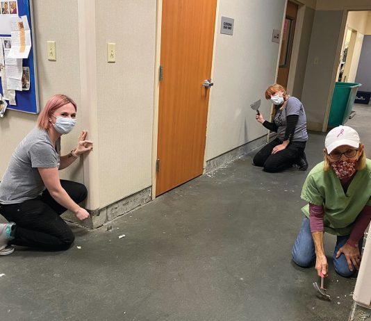 Local animal shelters adapt to COVID-19 changes