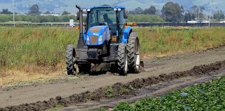Watsonville farmworkers