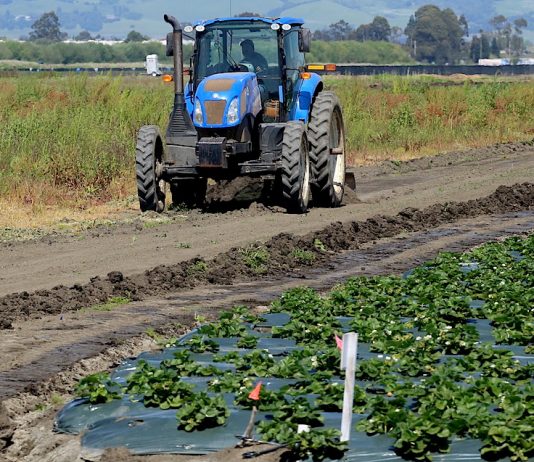Shelter-in-place order tested Watsonville farmworkers