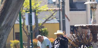 watsonville plaza parks