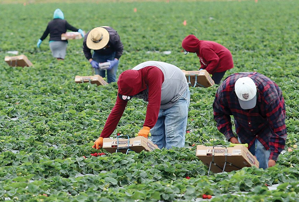 Governor signs legislation from Farmworker Covid-19 Relief Package