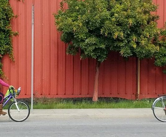 Bike organization keeps moving