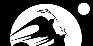 Community action board