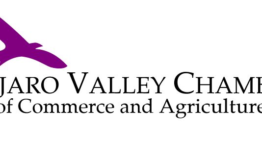 PV Chamber awards scholarships PV Chamber