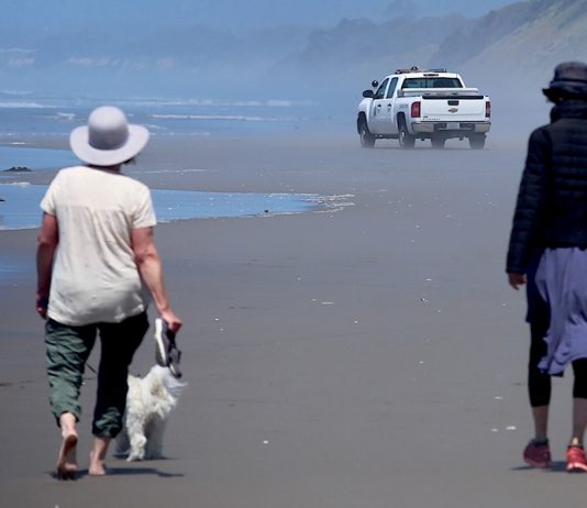 Santa Cruz County coronavirus