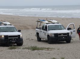 Santa Cruz county shark attack