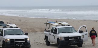 Santa Cruz county shark attack