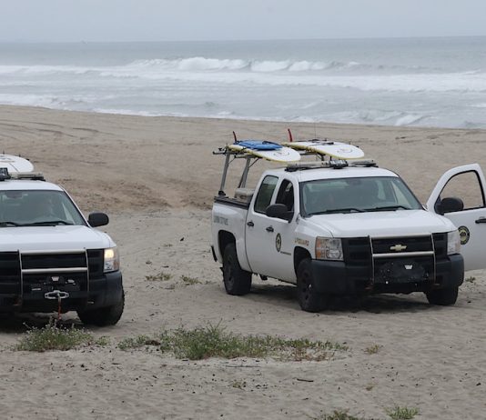 Santa Cruz county shark attack