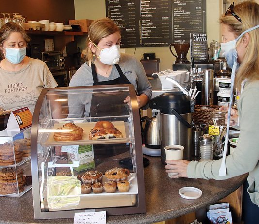 santa cruz county business covid-19