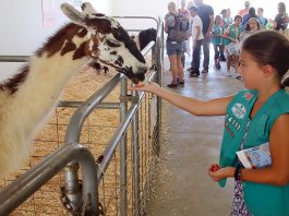 santa cruz county animal rules