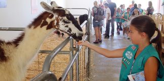 santa cruz county animal rules