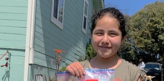 pvusd students covid-19