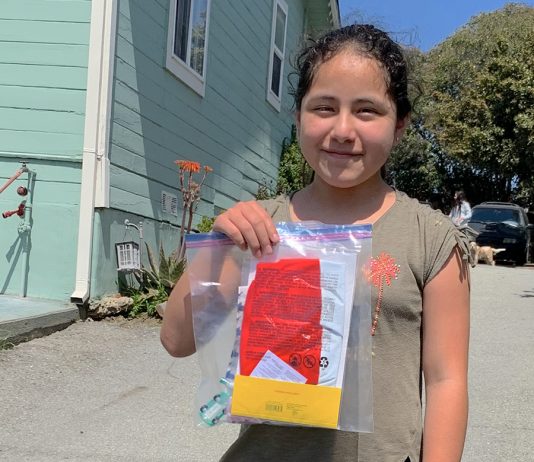 pvusd students covid-19