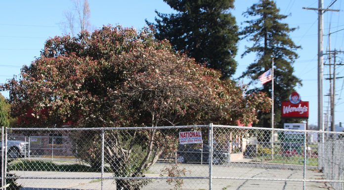 Watsonville affordable housing