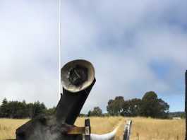 Aptos fire antenna