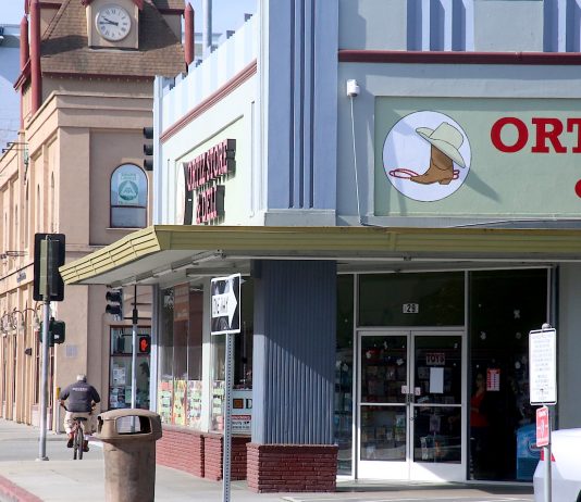 watsonville outdoor business